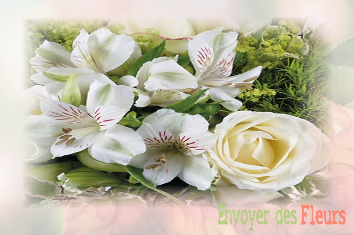 envoyer des fleurs à à DOMPIERRE-DU-CHEMIN